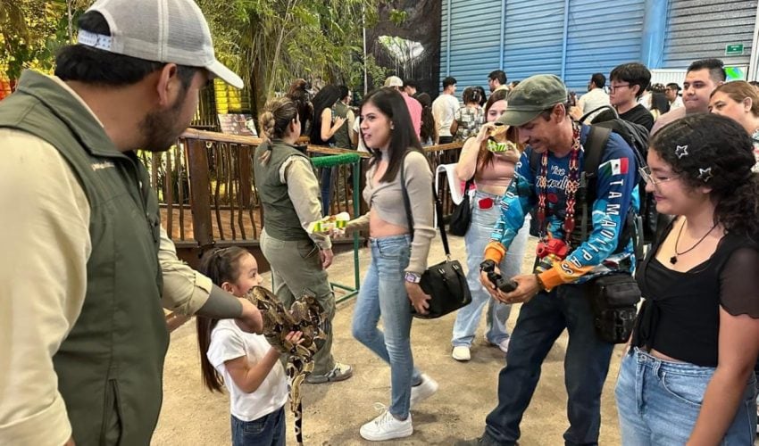 IMPULSA COMISIÓN DE PARQUES LA PRESERVACIÓN DEL JAGUAR Y SU HÁBITAT