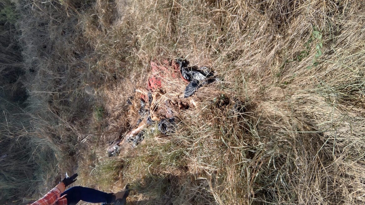 Descubren restos de una mujer en Reynosa; investiga FGJT