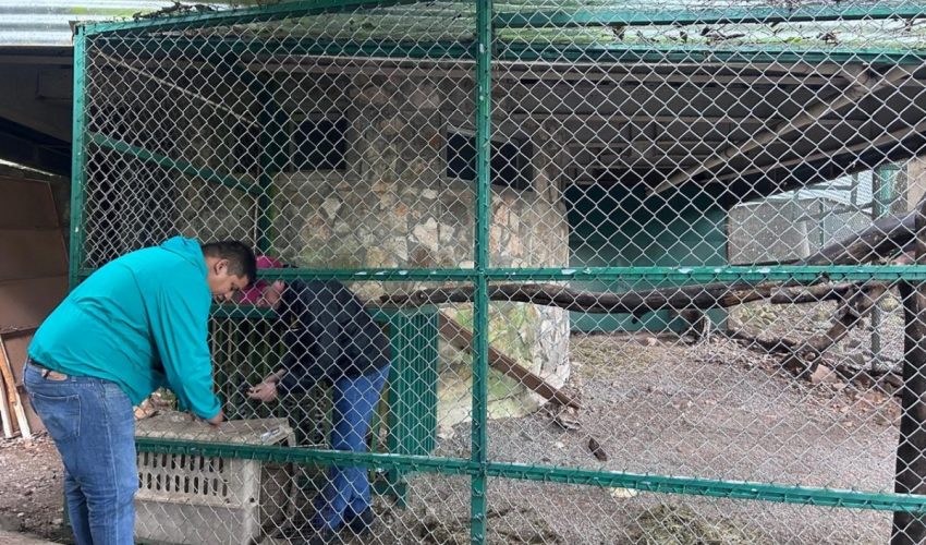 POR ONDA GÉLIDA, PERMANECERÁN CERRADOS PARQUES DE LA COMISIÓN