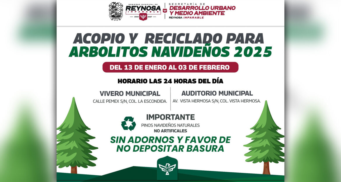 ¡No tires tu pino, el Gobierno de Reynosa lo recicla!