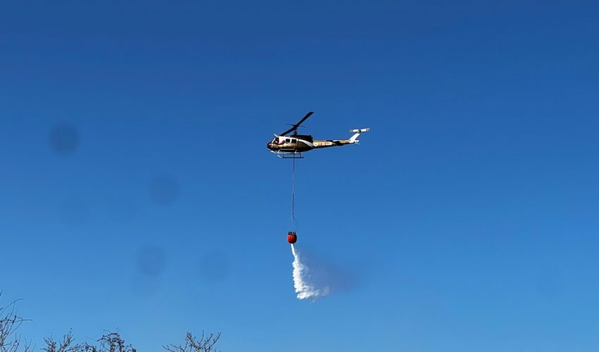 LIQUIDAN INCENDIOS EN TAMAULIPAS; SE CASTIGARÁ A LOS RESPONSABLES.