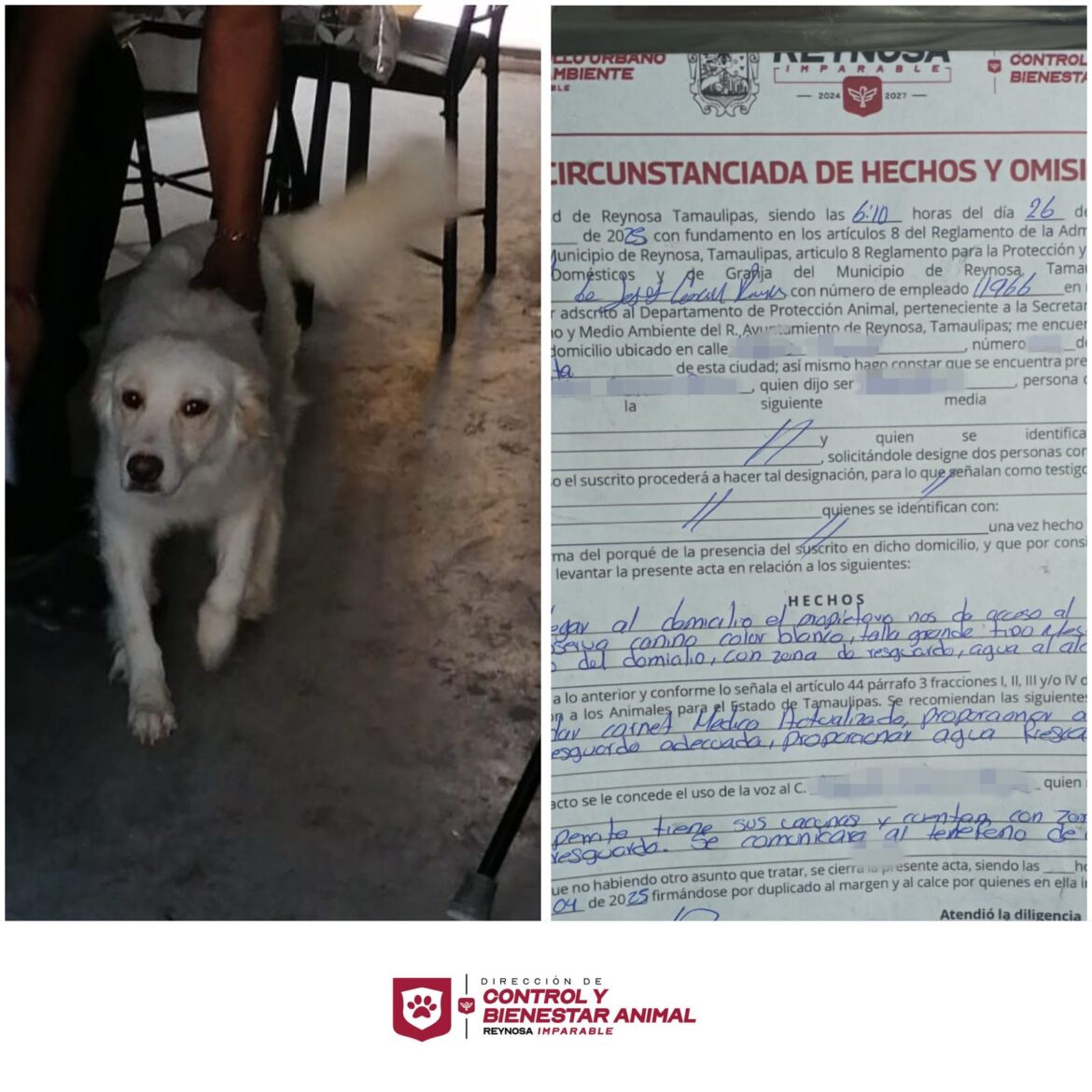 Exhorta Alcalde de Reynosa a dueños cuidar de sus mascotas.