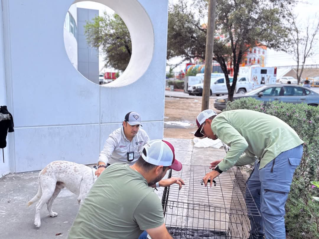 Llama Carlos Peña Ortz a proteger la integridad de las mascotas