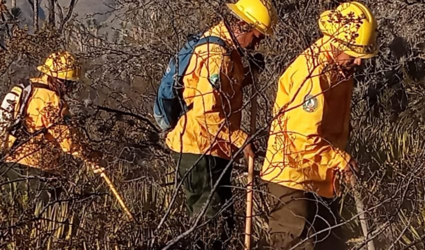 REFUERZAN BRIGADISTAS DE LA SEDUMA COMBATE A INCENDIO DE PASTIZALES EN TULA.