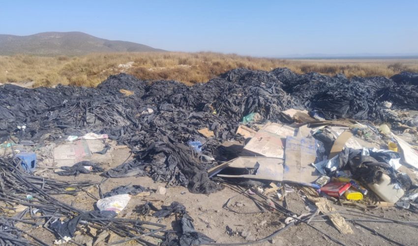 INCENDIO DE PASTIZALES EN TULA FUE PROVOCADO: PAUT.