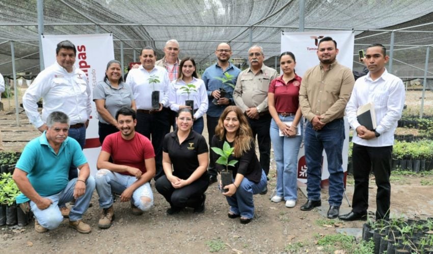 PROMUEVEN GOBIERNO DEL ESTADO Y CONGRESO DE TAMAULIPAS REFORESTACIÓN AMBIENTAL.