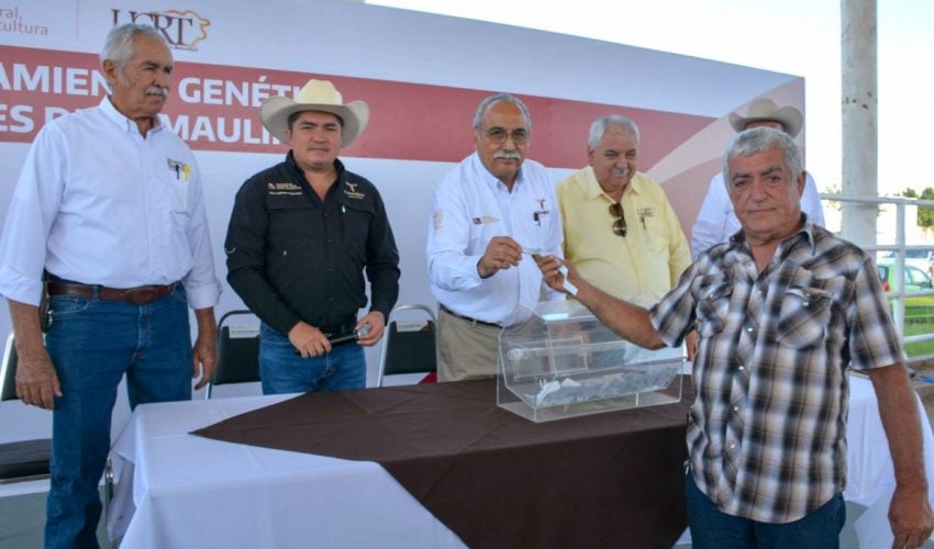 DESTINA GOBIERNO DE TAMAULIPAS 19 MILLONES DE PESOS PARA MEJORAMIENTO GENÉTICO