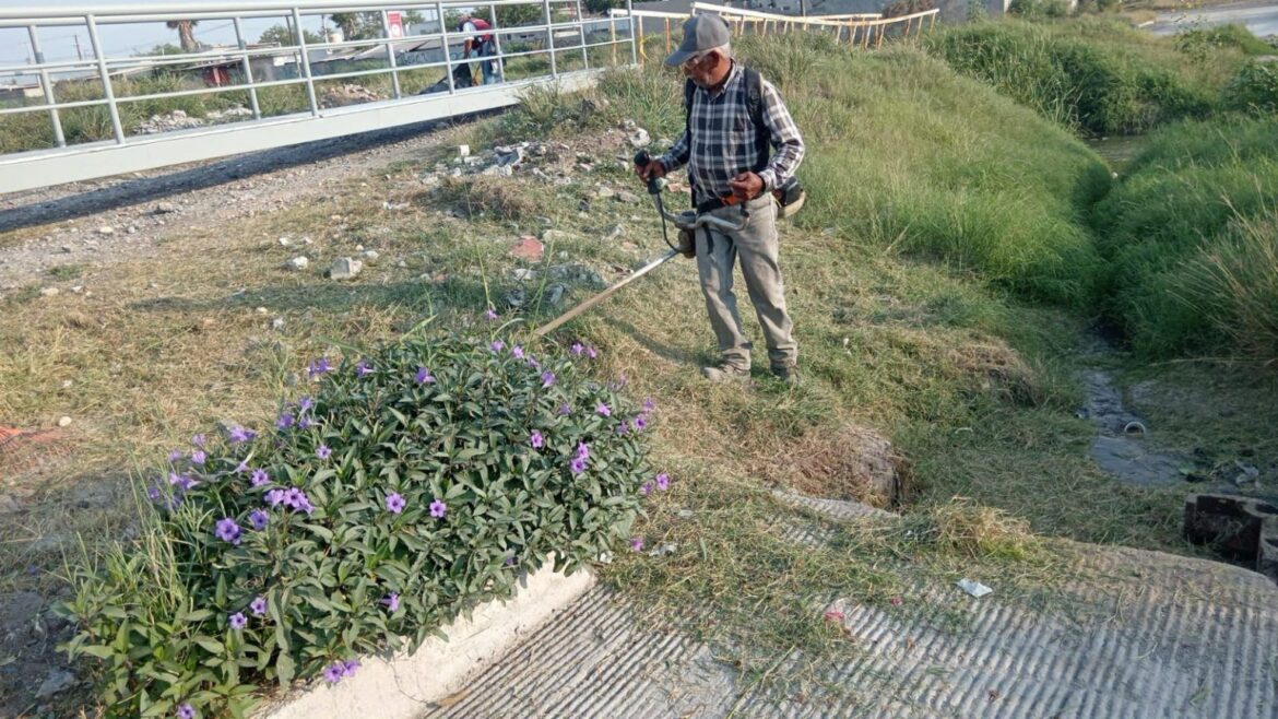 Desazolva Gobierno de Reynosa drenes y canales pluviales.