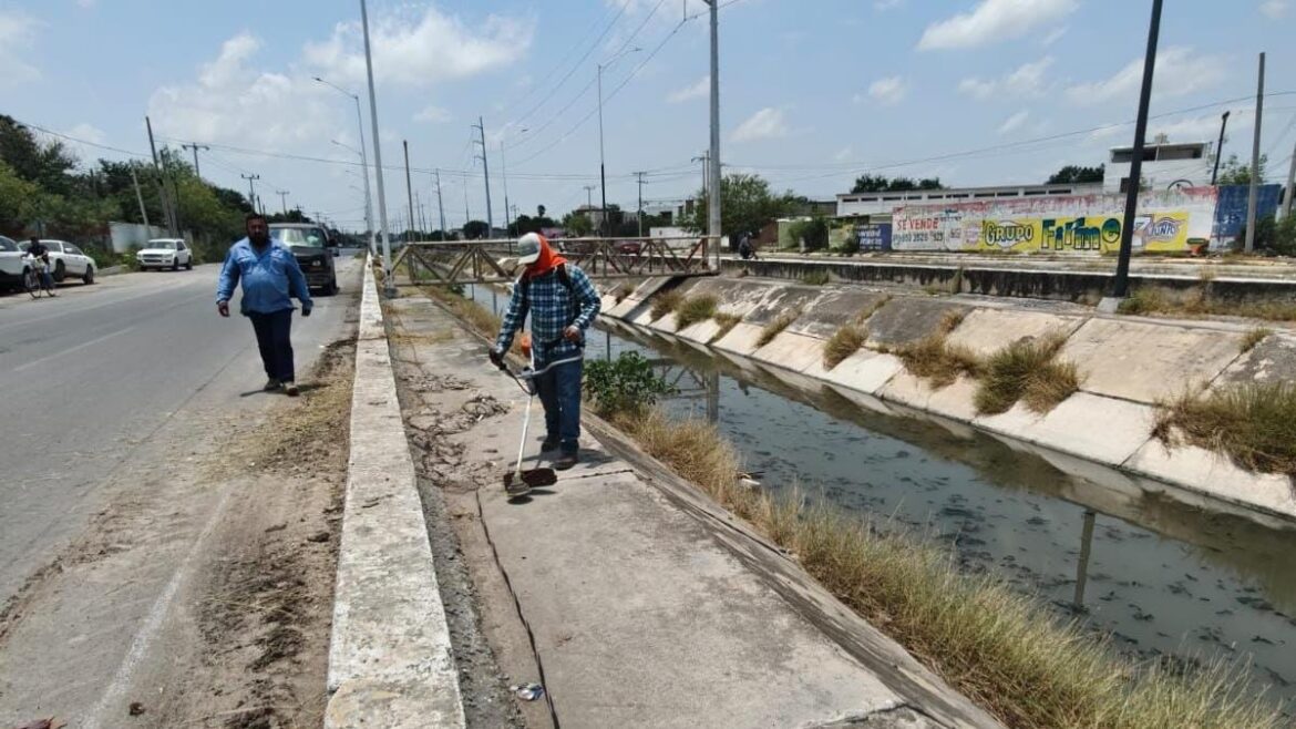 Dirige Alcalde de Reynosa mantenimiento de drenes