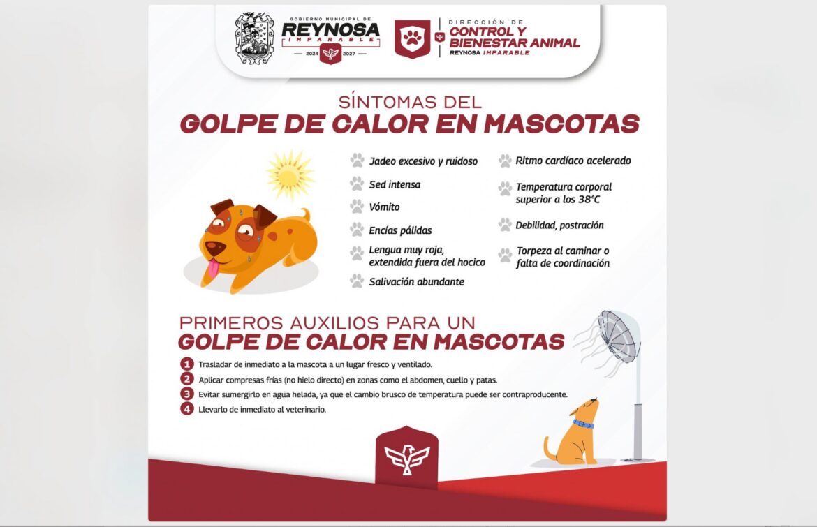Exhorta Alcalde de Reynosa a cuidar salud de las mascotas.
