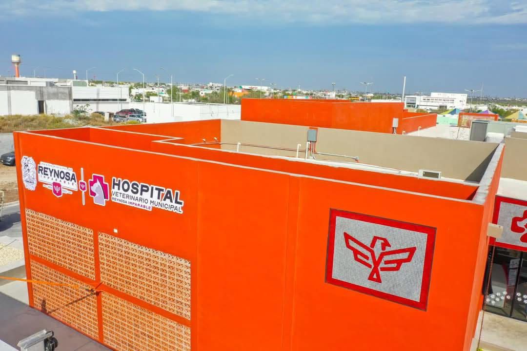 Milagro de vida, Hospital Veterinario Municipal recibe 7 cachorros con exitosa cesárea.