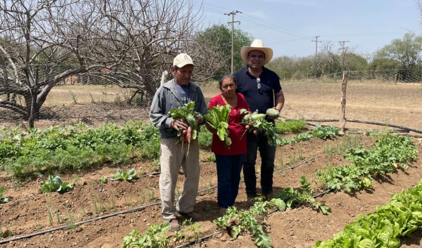 FOMENTA PROGRAMA DE HUERTOS DE TRASPATIO ALIMENTACIÓN SALUDABLE Y SOSTENIBLE EN COMUNIDADES RURALES