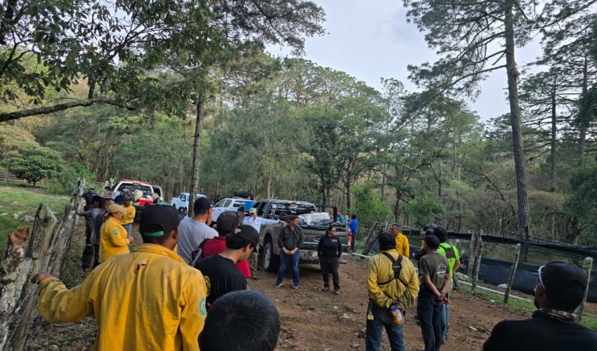 COORDINAN ACCIONES PARA EL CONTROL DEL INCENDIO FORESTAL EN RESERVA DE LA BIOSFERA EL CIELO