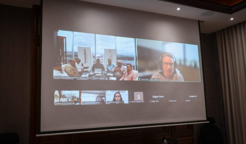 GOBERNADOR AMÉRICO VILLARREAL Y AUTORIDADES DE MÉXICO Y EUA, FORTALECEN ACCIONES CONTRA TUBERCULOSIS BOVINA.