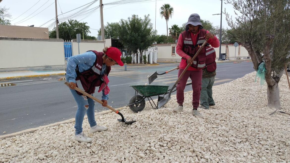 Avanza labor de embellecimiento del bulevar Lázaro Cárdenas.