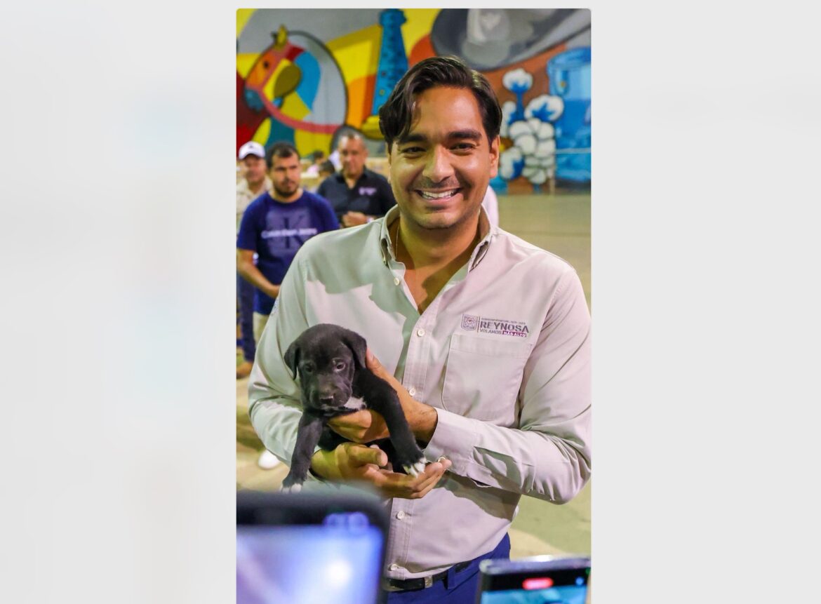 Busca Alcalde de Reynosa nombre para perrito abandonado.
