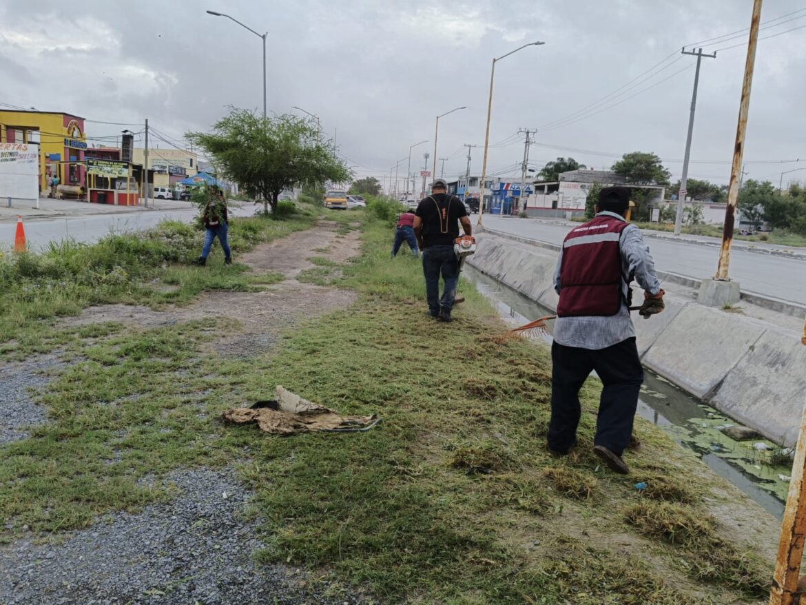 Desarrollan cuadrillas municipales limpieza y saneamiento en Reynosa.