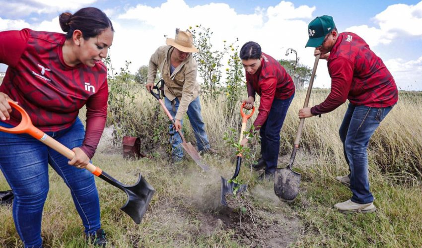 REALIZA INJUVE TAMAULIPAS SEGUNDA JORNADA DE REFORESTACIÓN COMUNITARIA EN VALLE HERMOSO.