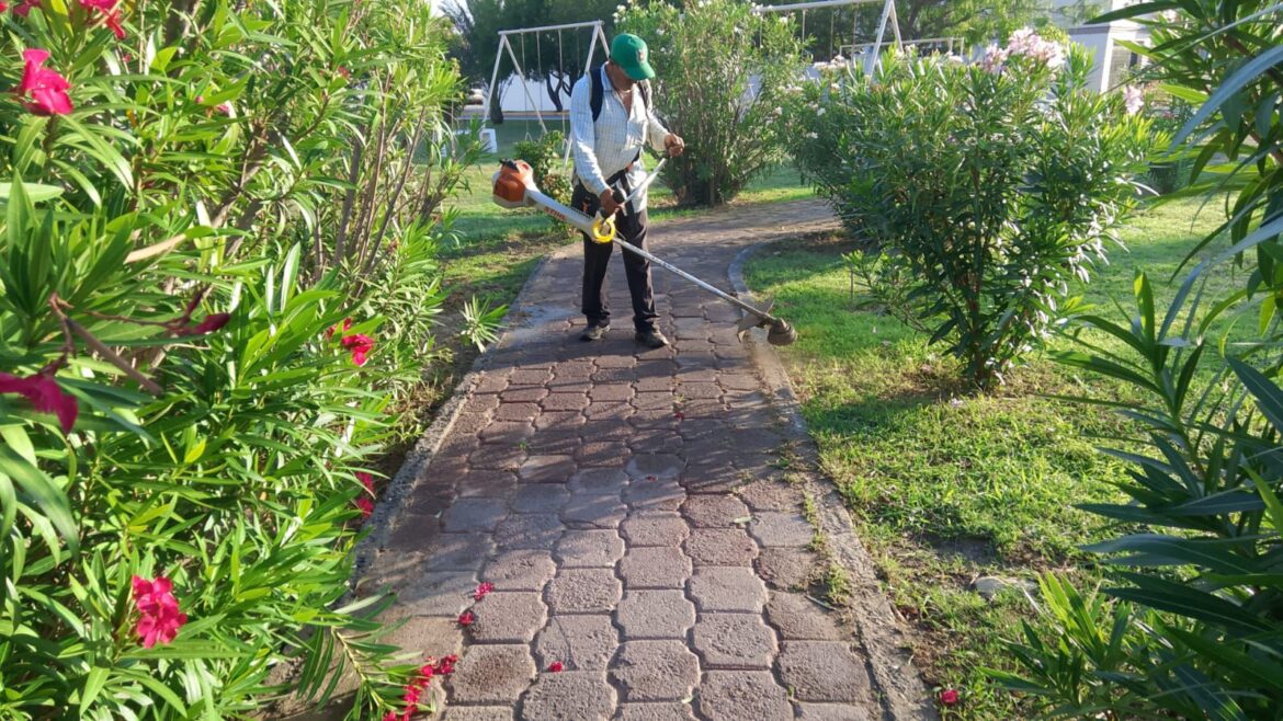 Promueve Gobierno de Reynosa convivencia vecinal con mantenimiento de plazas públicas.