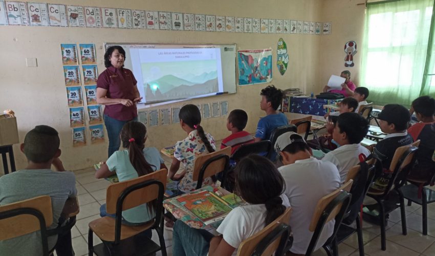 FOMENTA SEDUMA CONSERVACIÓN DE CACTÁCEAS, TESORO DEL ALTIPLANO.