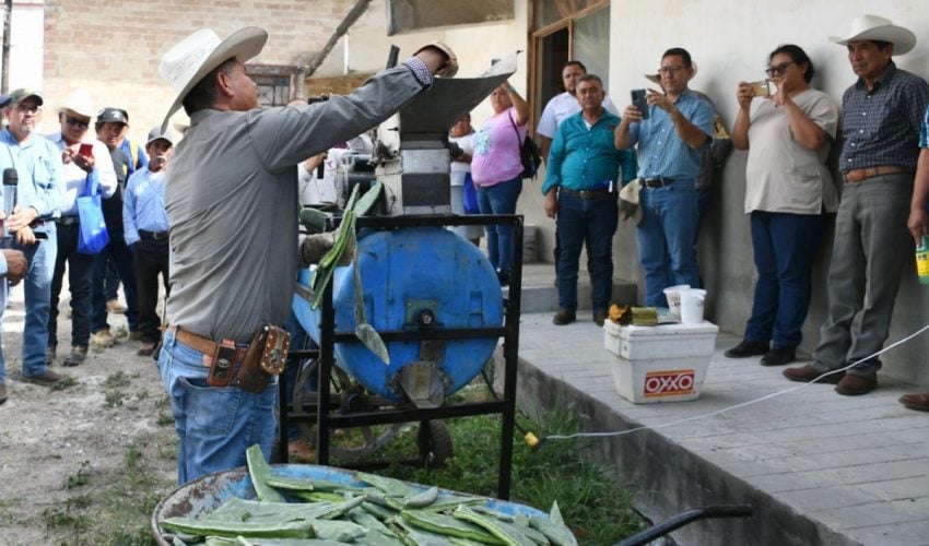 PROMUEVEN EL USO DEL NOPAL COMO ESTRATEGIA ALIMENTARIA SUSTENTABLE
