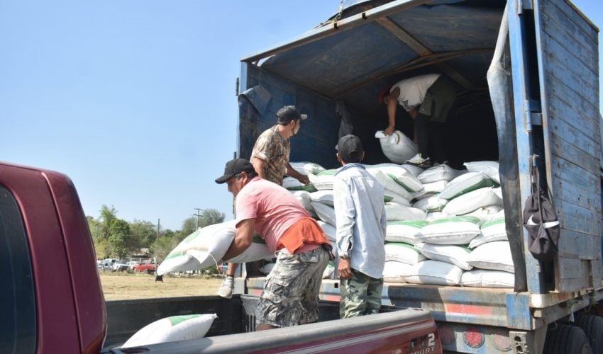 ABREN VENTANILLAS PARA EL PROGRAMA DE FERTILIZANTE A CITRICULTORES.