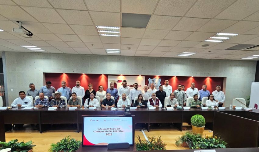 IMPULSAN CONSERVACIÓN Y DESARROLLO SOSTENIBLE EN TAMAULIPAS CON LA INSTALACIÓN DEL CONSEJO ESTATAL FORESTAL 2025.
