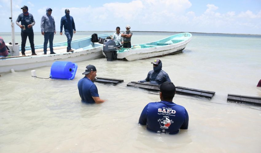 INICIA GOBIERNO DEL ESTADO DE TAMAULIPAS INSTALACIÓN DE 14 GRANJAS DE OSTIÓN EN BENEFICIO DE PRODUCTORES PESQUEROS