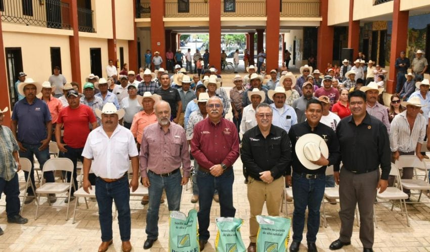 Reciben semilla de maíz productores del municipio de Tula.