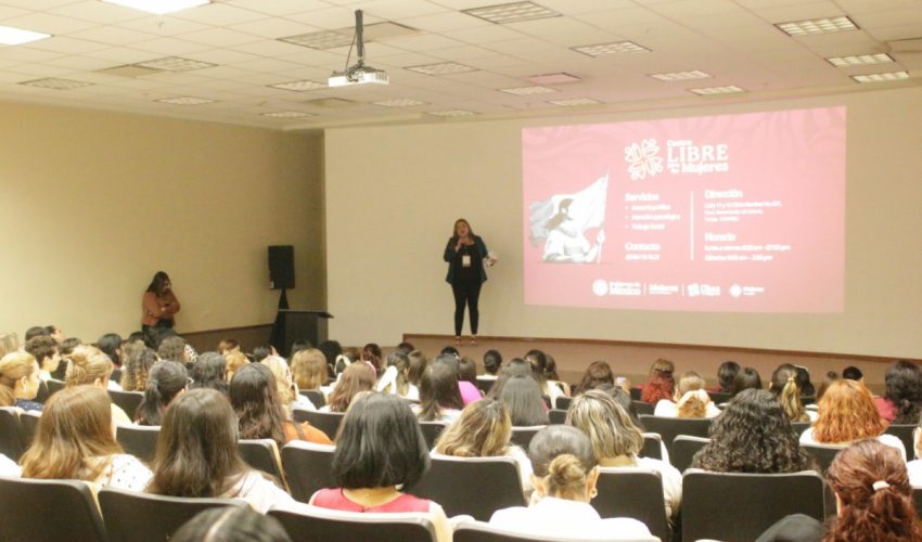 Desarrolla Secretaría del Trabajo y Previsión Social, “Cartilla de los Derechos de las Mujeres”.