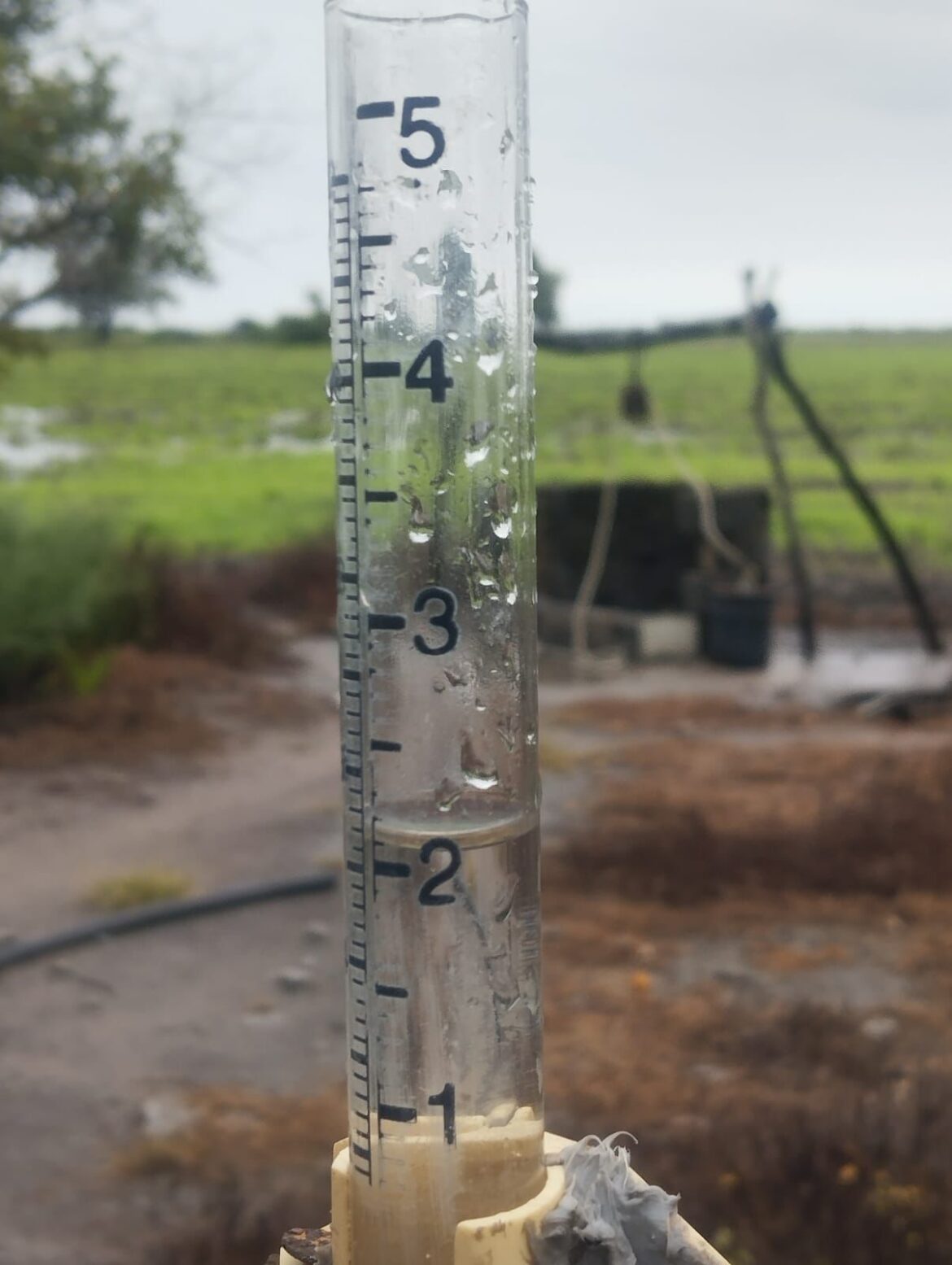 Lluvias alivian al campo y ganaderos del norte de Tamaulipas