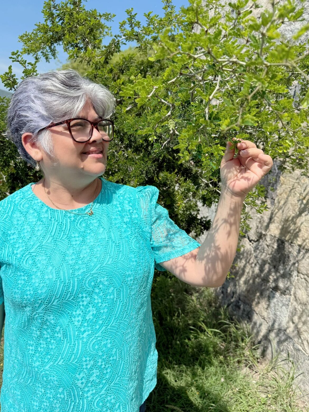 Investigadores de la UAT obtienen certificación nacional