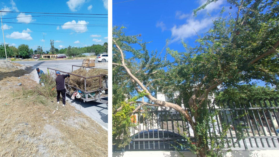 Actividades de mantenimiento del Gobierno Municipal de Reynosa.