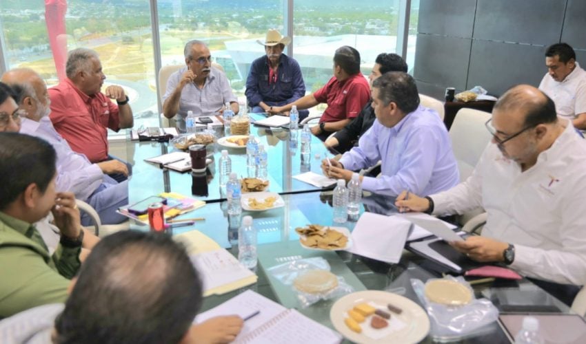 IMPULSAN EN TAMAULIPAS LA TRANSFORMACIÓN DEL SORGO BLANCO.