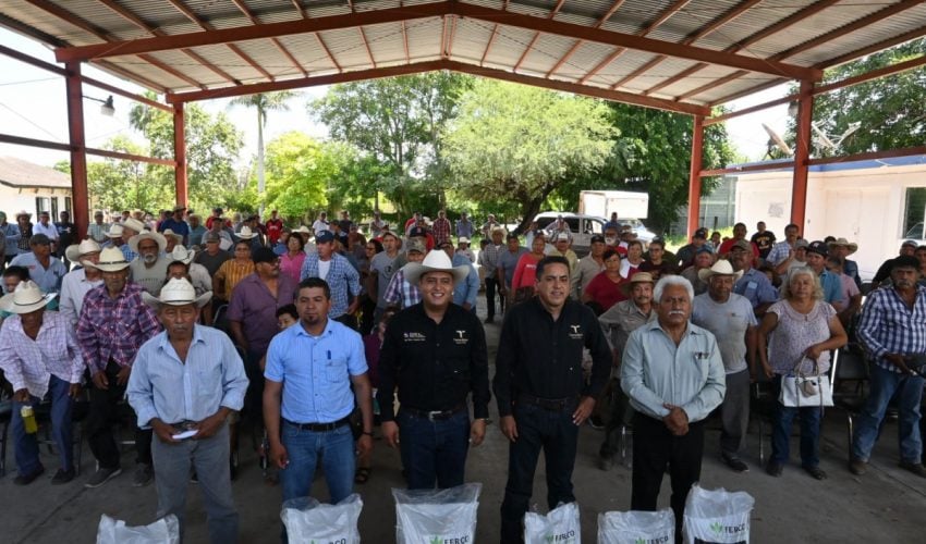 PROGRAMA ESTATAL DE FERTILIZANTE FORTALECE LA PRODUCTIVIDAD CITRÍCOLA.
