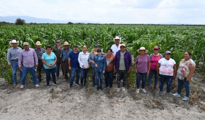 IMPULSAN PRODUCTIVIDAD Y SOSTENIBILIDAD DEL SECTOR AGROPECUARIO TAMAULIPECO