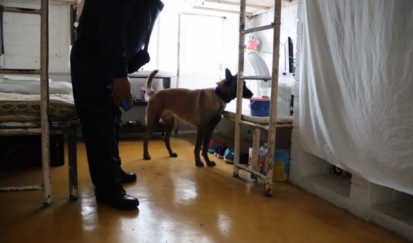 EN TAMAULIPAS SUPERVISIONES A LOS CEDES SON PERMANENTES