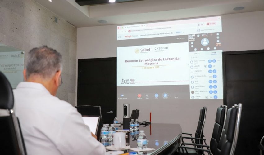 LACTANCIA MATERNA; PRIORIDAD DE SALUD PÚBLICA: SST