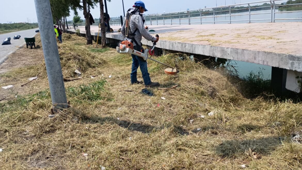 Mantenimiento de espacios públicos por el Gobierno Municipal de Reynosa.