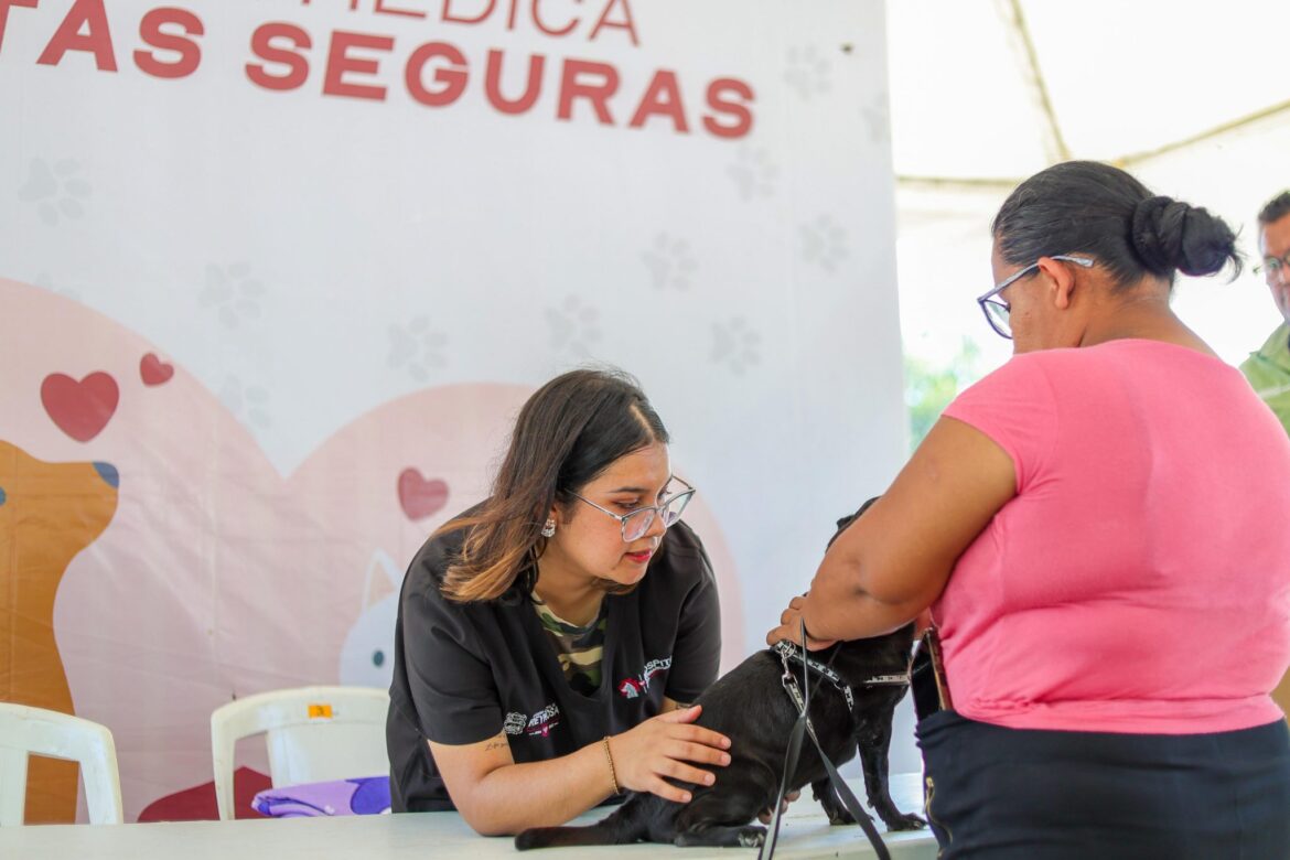Imparable Gobierno de Reynosa por la salud de las mascotas.
