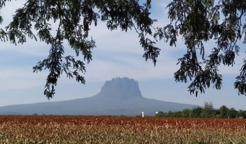 ANALIZA TAMAULIPAS ESTRATEGIAS PARA FORTALECER EL TURISMO EN COMUNIDADES RURALES.