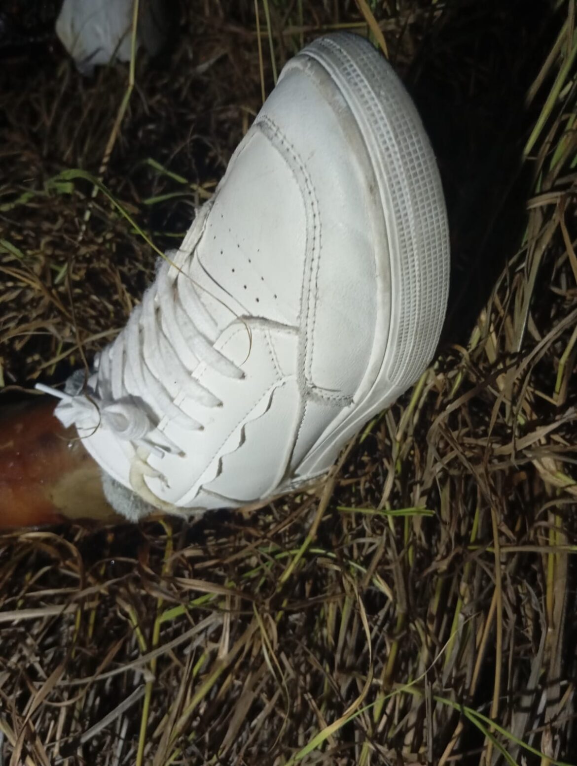 Localizan a mujer sin vida al sur de Reynosa