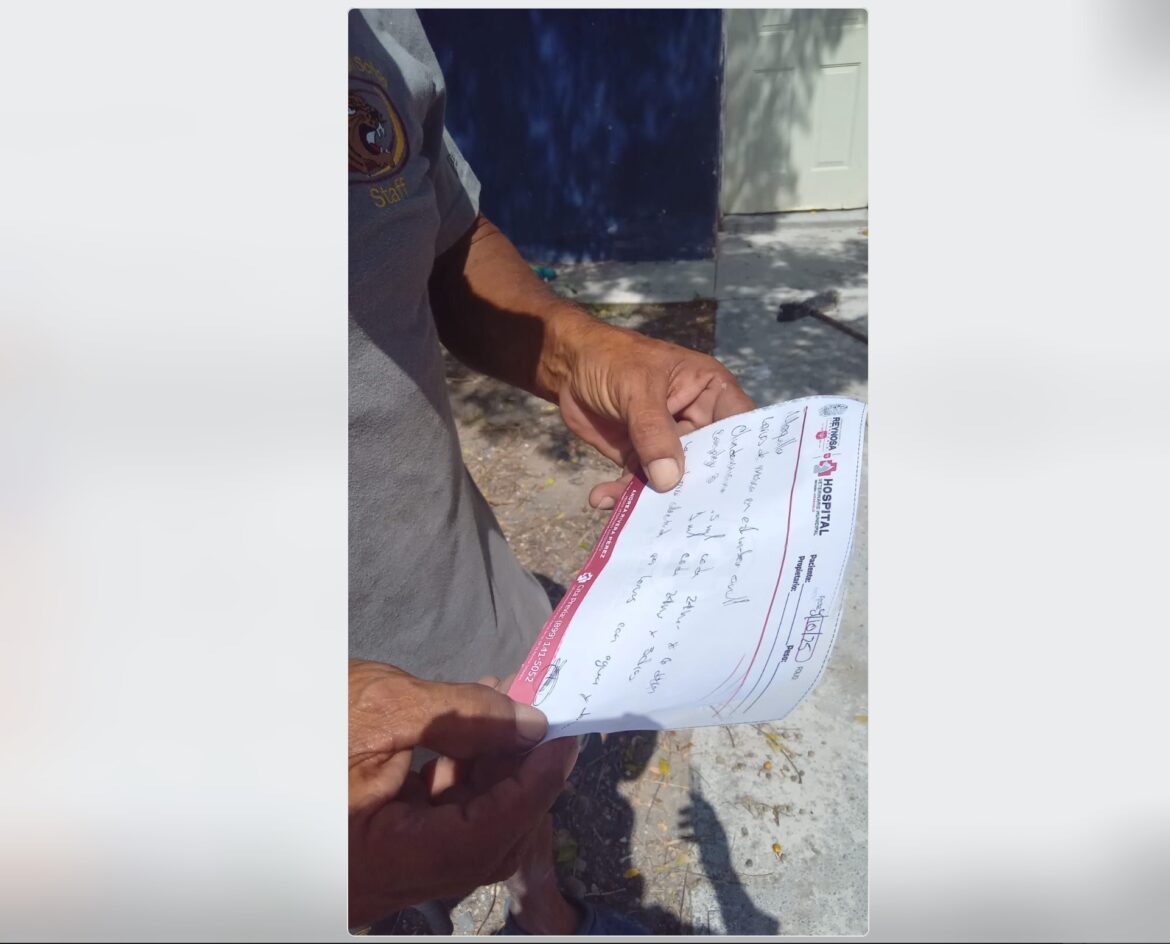 Atendió Hospital Veterinario Municipal de Reynosa a perrito