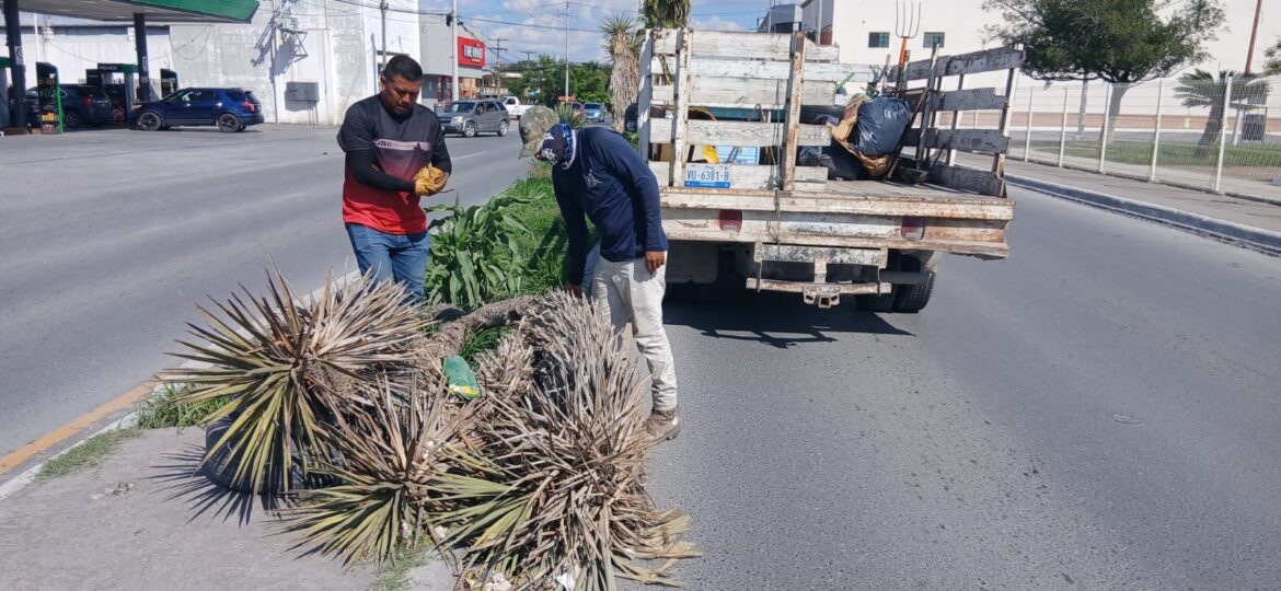Continúa Gobierno de Reynosa con trabajo de limpieza y mantenimiento