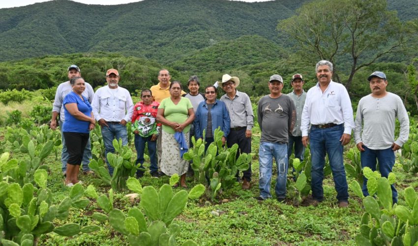 Impulsan buenas prácticas agrícolas en Gómez Farías, Llera y Xicoténcatl.