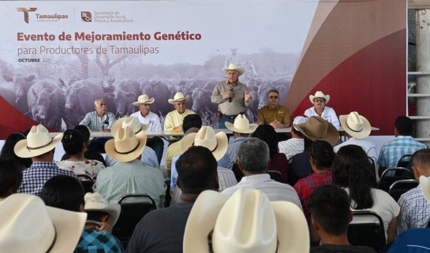 AVANZA TAMAULIPAS EN EL FORTALECIMIENTO DE SU SECTOR PECUARIO