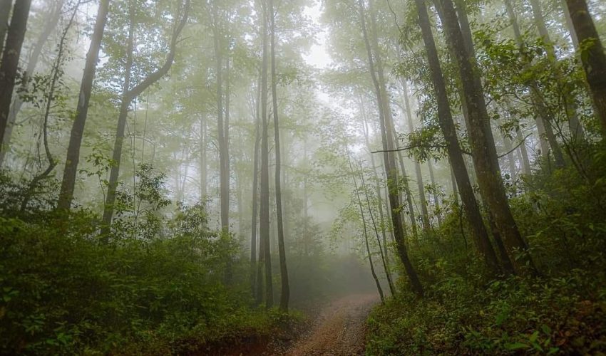 TAMAULIPAS, COMPLEMENTO DE LA AVENTURA MUNDIALISTA DEL FÚTBOL