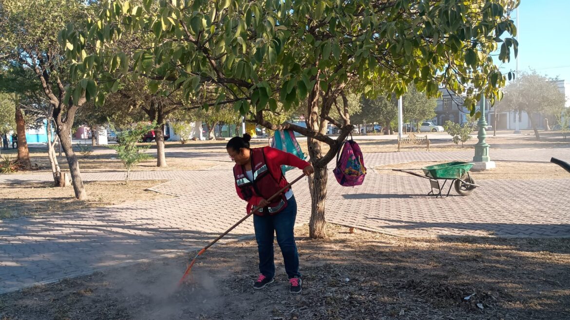 Efectúa Gobierno de Carlos Peña Ortiz actividades de limpieza y mantenimiento de Reynosa