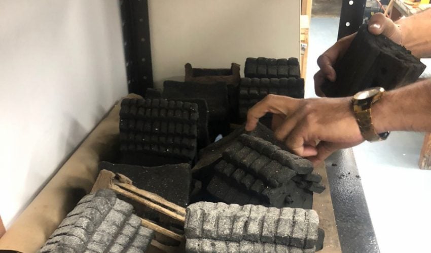 Impulsa Museo Tamux refugios para insectos y jardines polinizadores.