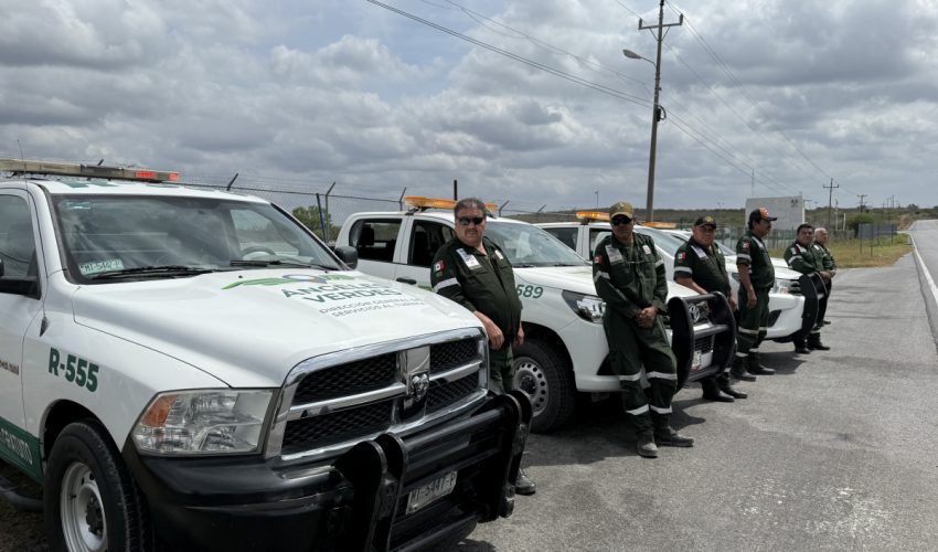 Brindan Ángeles Verdes 21 atenciones diarias en promedio en Tamaulipas.